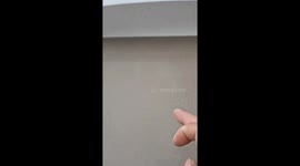 Chinese man draws intricate shrimp on dusty car