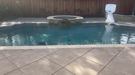 US: File footage of Earthquake Hits Northern California / 1