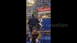 France: French police arrested an activist for raising Palestine flag in Forum des Halles, a shopping mall in Paris