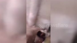 Syria: Syrian Militants Discover Execution Devices in Sednaya Prison