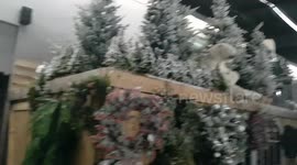 Customers use phone lights as garden centre in left without power due to Storm Darragh