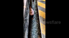 One-year-old girl rescued after falling down gap between train and platform in China