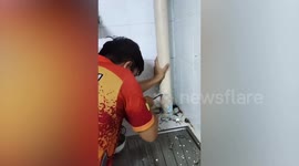 Kitchen pipe sawed open to rescue kitten stuck inside