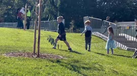 Australia: Australia Bans Kids Under 16 from Social Media