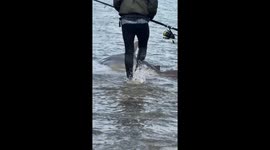 Fisher Releases Hooked Shark