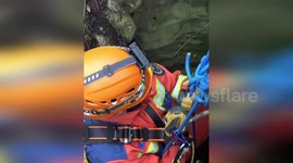 China: Rescued 700-Pound Bull Celebrates Freedom with Wild Grass Feast After Cave Rescue