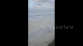 UK: Sea Foam Blankets Coastlines As Storm Darragh Sweeps Across Country
