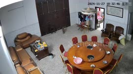 Puppy alerts neighbours to saves elderly owner who fell down and could not get up