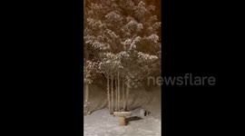 US: Cold Front Brings Snow To Parts Of Colorado, Advisory Issued For Denver Area 2