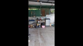 Monitor lizard caught in family's kitchen