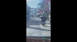 Motorcycle rider carries live snake along road