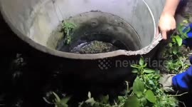 Rescue team saves stray dog stuck in well