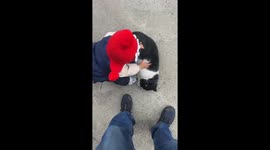 Playful cat knocks down toddler in China