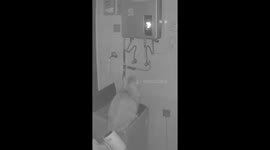 Cat switches off device in Sichuan, China