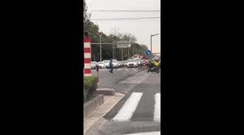 Food deliveryman saves kitten from busy Shanghai highway