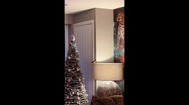 Robin lands on Christmas tree in Dundee home