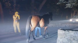 US, Los Angeles: Malibu Franklin Fire Part 2