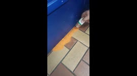 Prank involving chili powder played on colleague in Monroe, Louisiana, USA