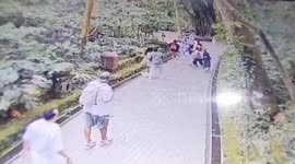 Two Tourists From South Korea And France Were Killed By A Large Tree In Bali, Indonesia While On Tour, Another Victim Was Injured