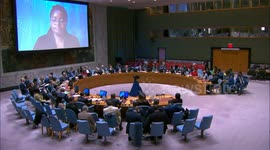 US: UN Security Council calls for end to conflict in DR Congo