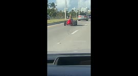 Dog Drives a Vintage Ferrari on Florida Street