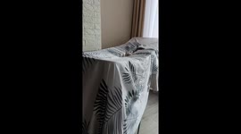 Cat hides on top of laundry in Khmelnytskyi Oblast, Ukraine