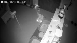 Cat rides on robot vacuum in Jiangxi, China