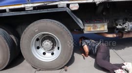 Dangerous cobra snake caught under lorry