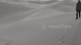 Chinese scientist among 2024 UNEP's Champions of the Earth Award winners