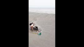 Locals save dolphin stranded on beach in China