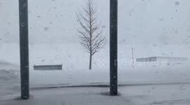 Winter storm brings blizzard conditions to northern Japan
