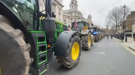 Tractors parked on Whitehall