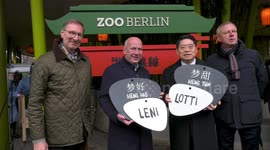 Germany's favourite giant panda twins officially named Leni and Lotti