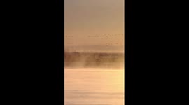 Mystical mist over China's Yellow River