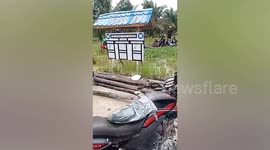 Mother, 44, killed by crocodile while working on palm oil plantation in Indonesia