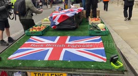 Hundreds of tractors descend on Westminster for 'RIP British Farming' protest in central London