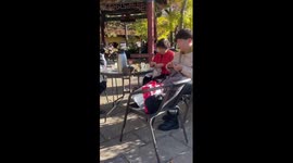 Squirrels live in harmony with humans in Yunnan