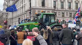 Farmers protest, London, England