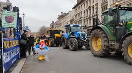 Man in chicken costume at farmers' protest against inheritance tax changes. Whitehall, London, UK. 11/12/2024