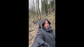 Tripped During Harmonized Howling