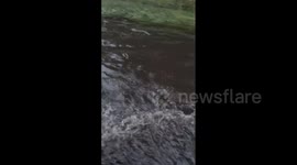 US: Flooding Advisory Issued For Parts Of New York After Heavy Rainfall