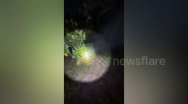 Wild bear that attacked farmer is caught in Thailand
