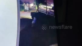 Australian teenager, 14, stabbed to death outside shop in Thailand