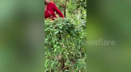 Baby girl with umbilical cord still attached found in tall grass in the Philippines