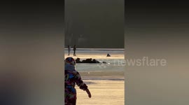 Good Samaritans form human chain after mother and child fall through thin ice on lake