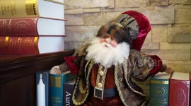 Cafe adorned with Harry Potter decorations adds a Christmas theme