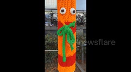 China: The Tree Put on A Sweater to Ward off The Cold