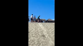 Sand boarding tourist face-plants downhill