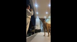Kind shopper feeds stray dog waiting patiently outside store