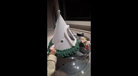 Chinese pet owner crafts Christmas tree cat house
